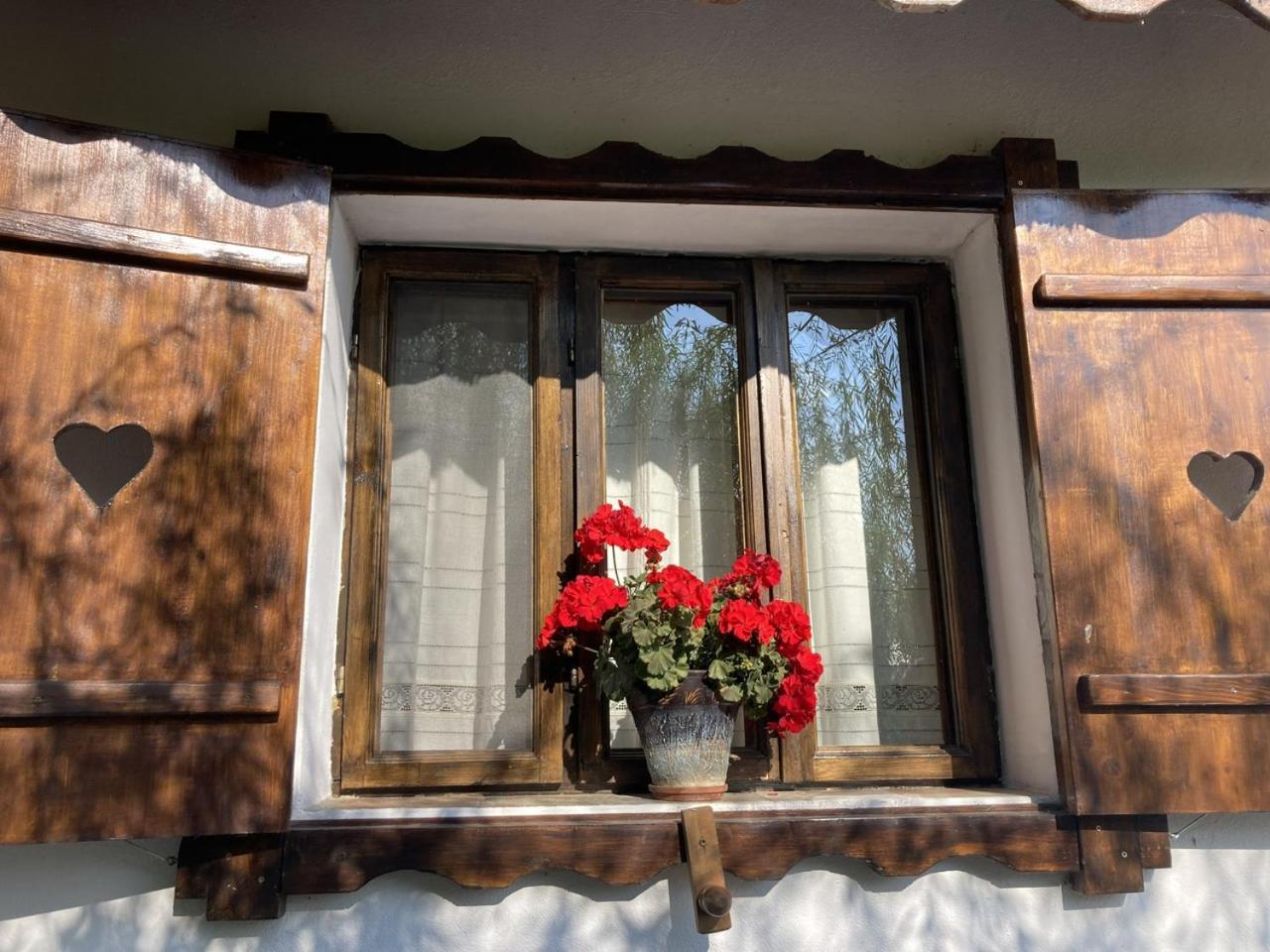 Casa Soarelui Hotel Муригьол Екстериор снимка